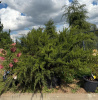 9FD9D575-6000-484A-A89D-59A4199C