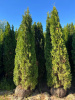 C12AD754-E674-4971-A493-06B8037A